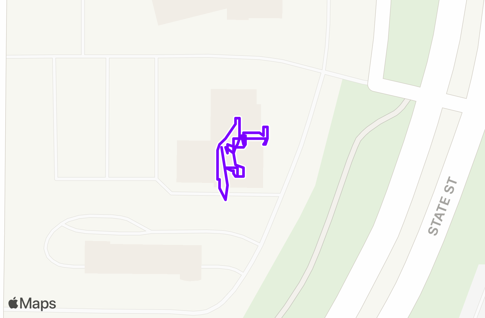 Walk training