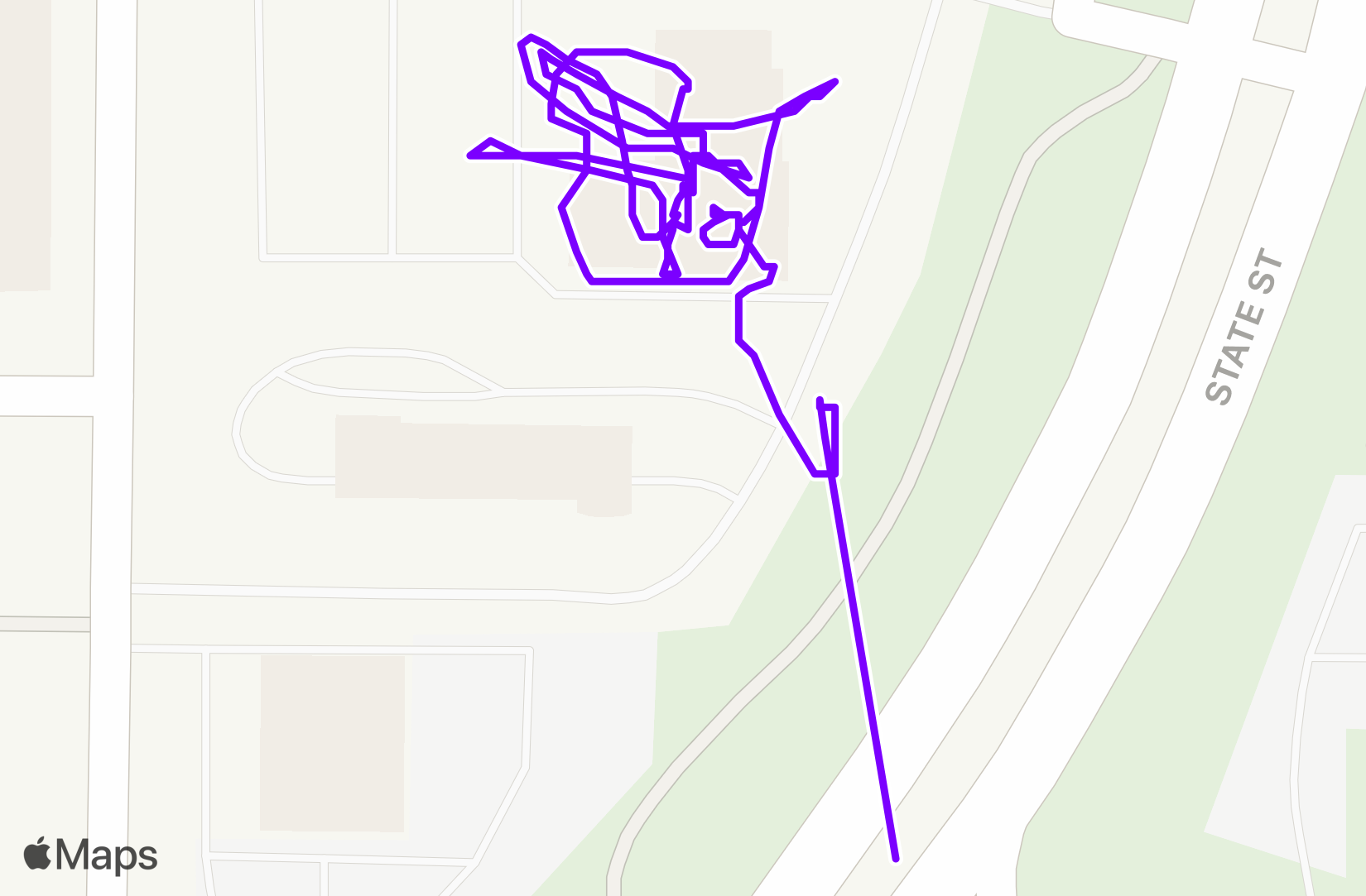 Walk training