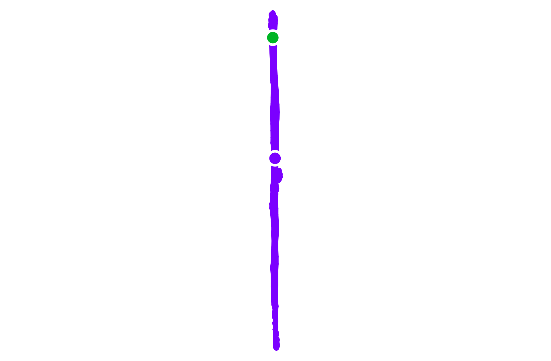 Run training