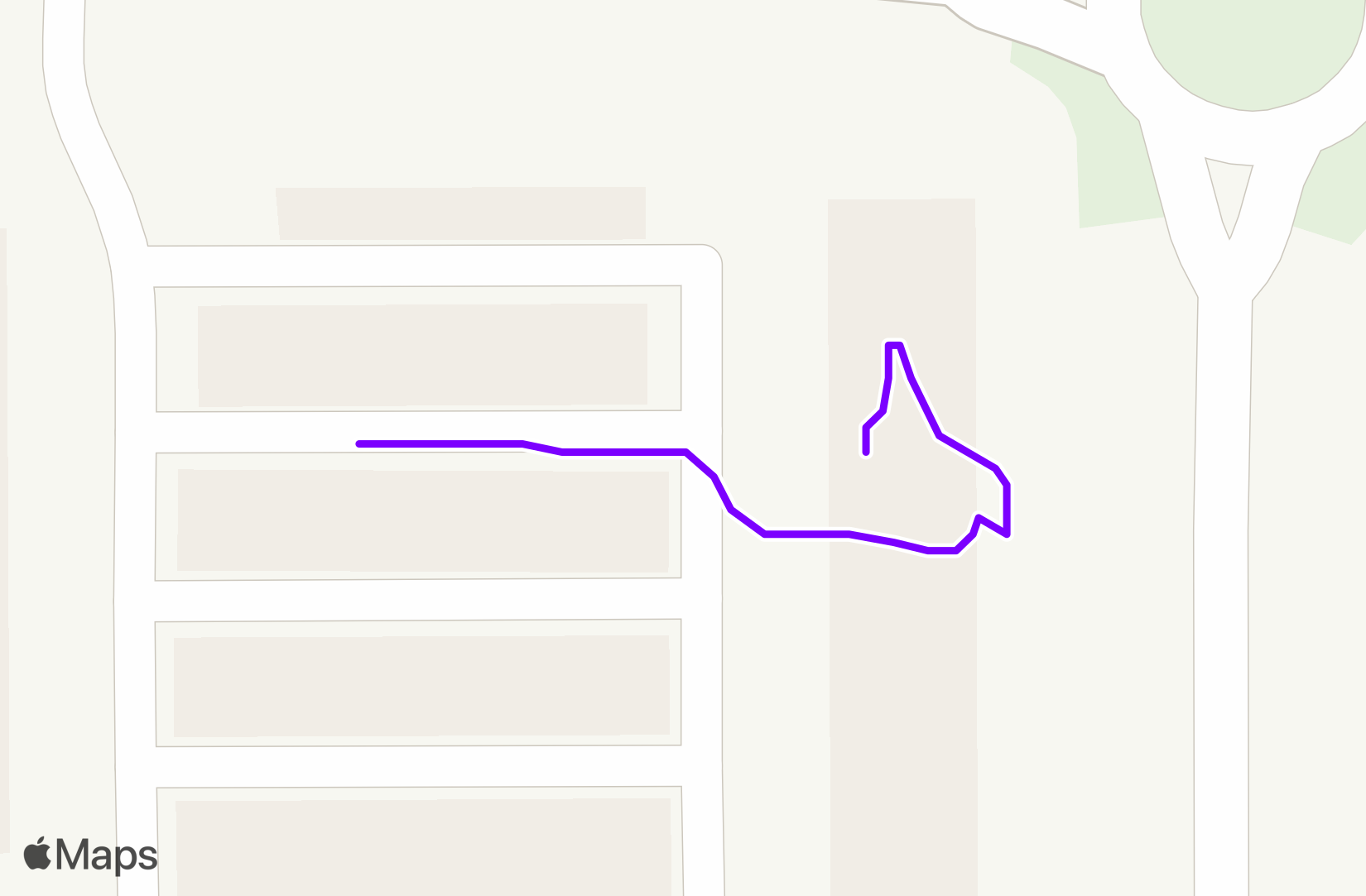 Walk training
