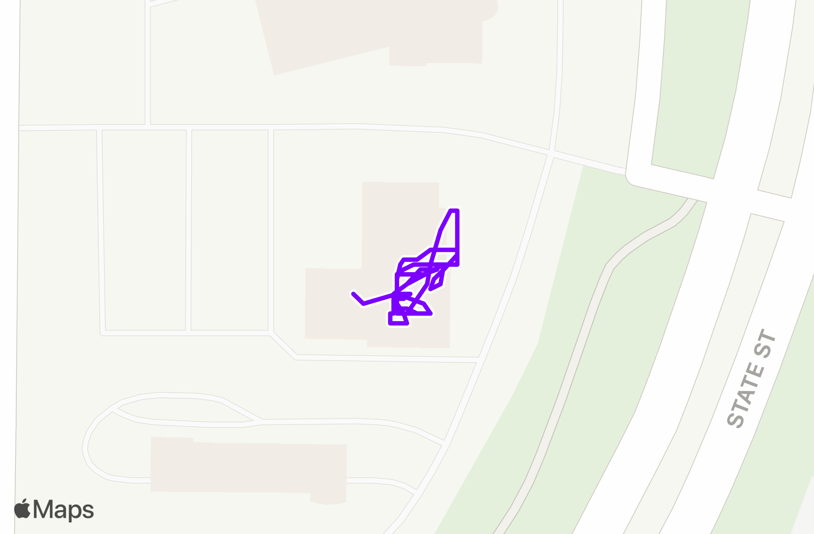 Walk training