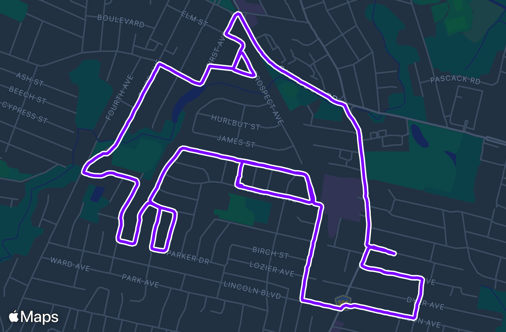 Run training