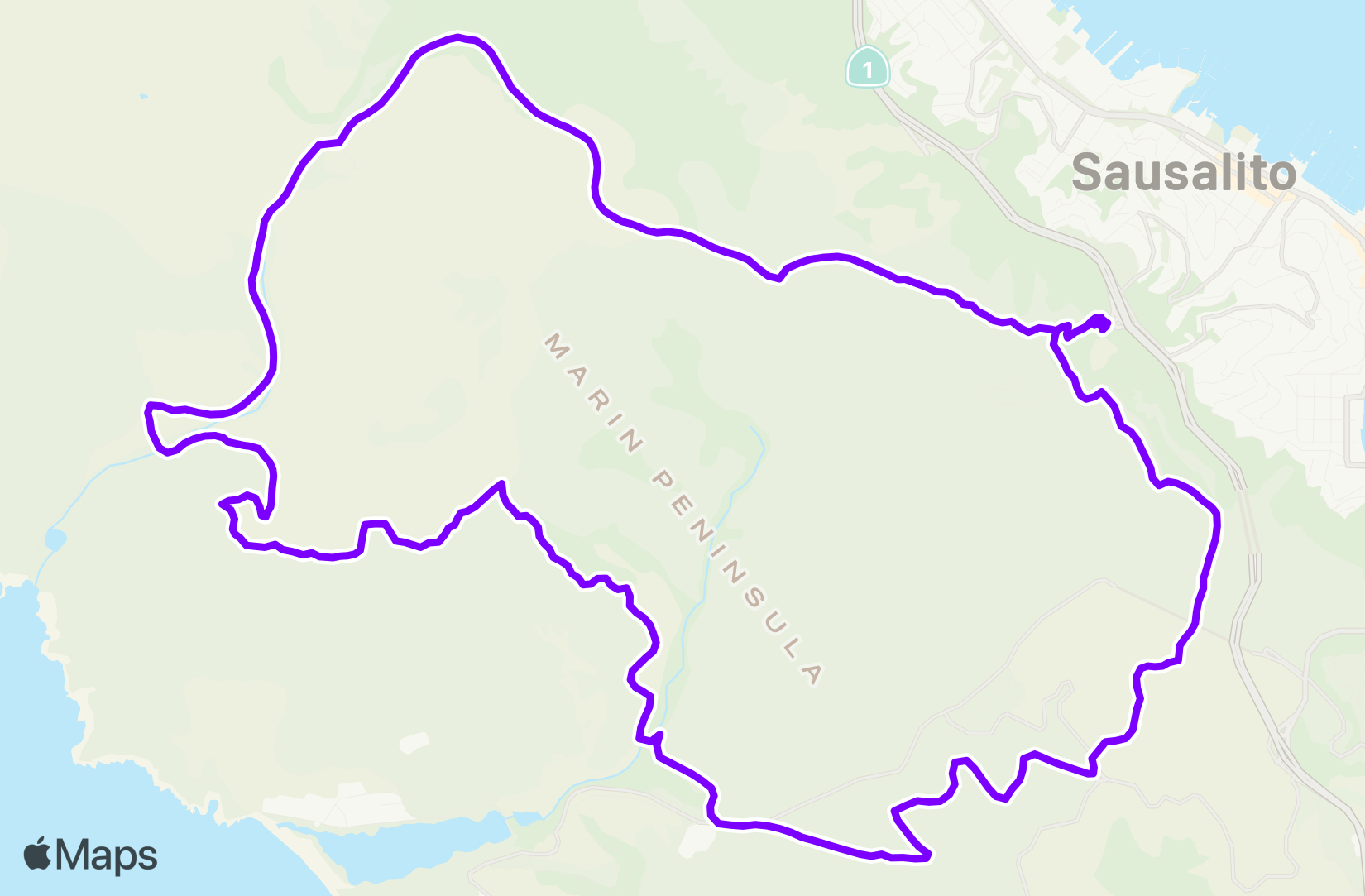 Run training