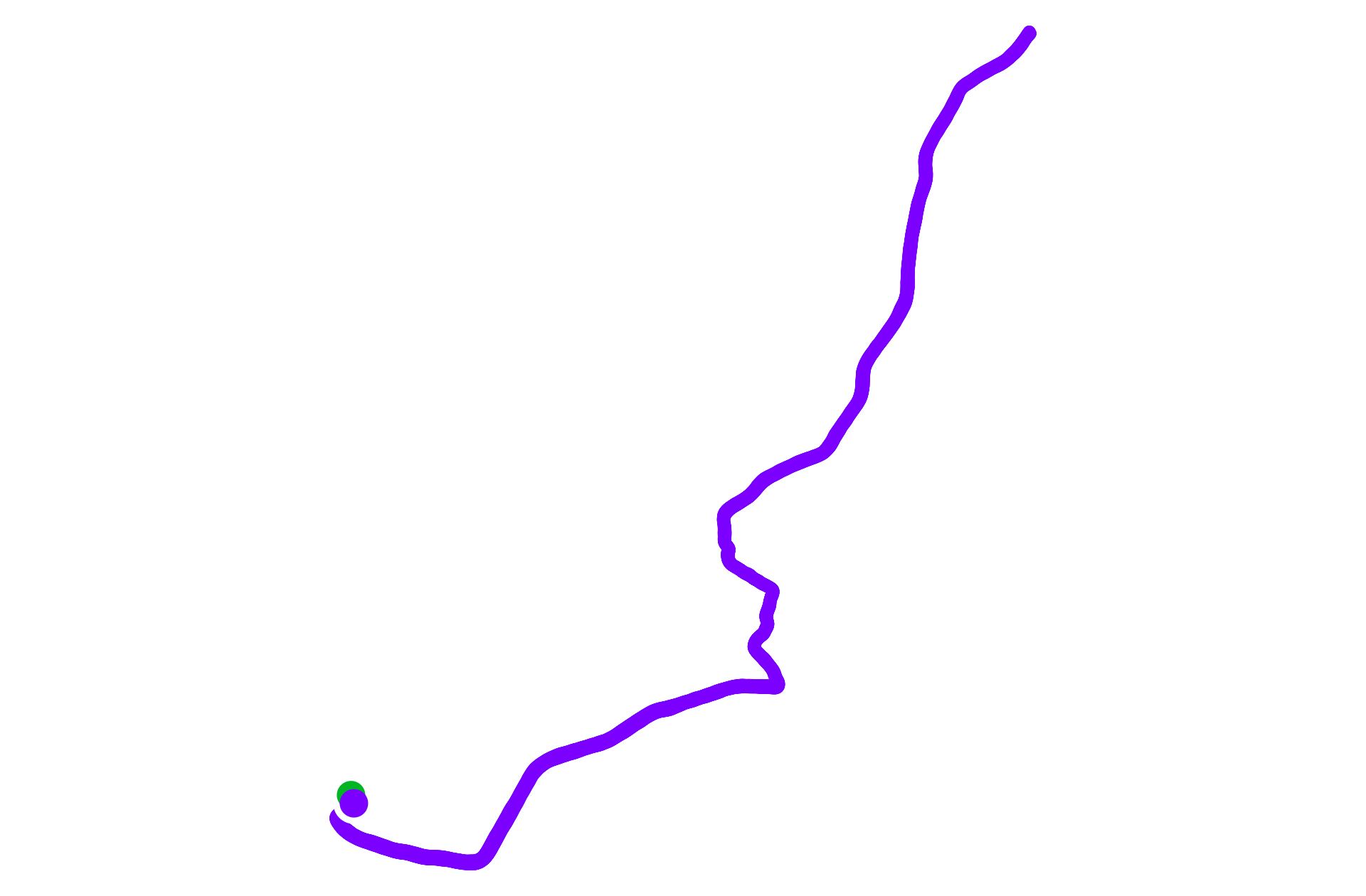 Run training