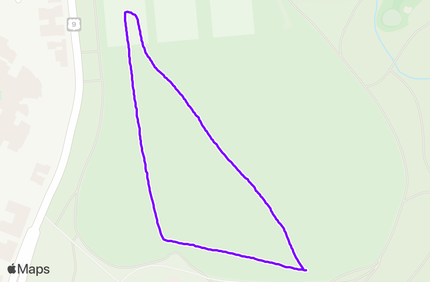 Run training