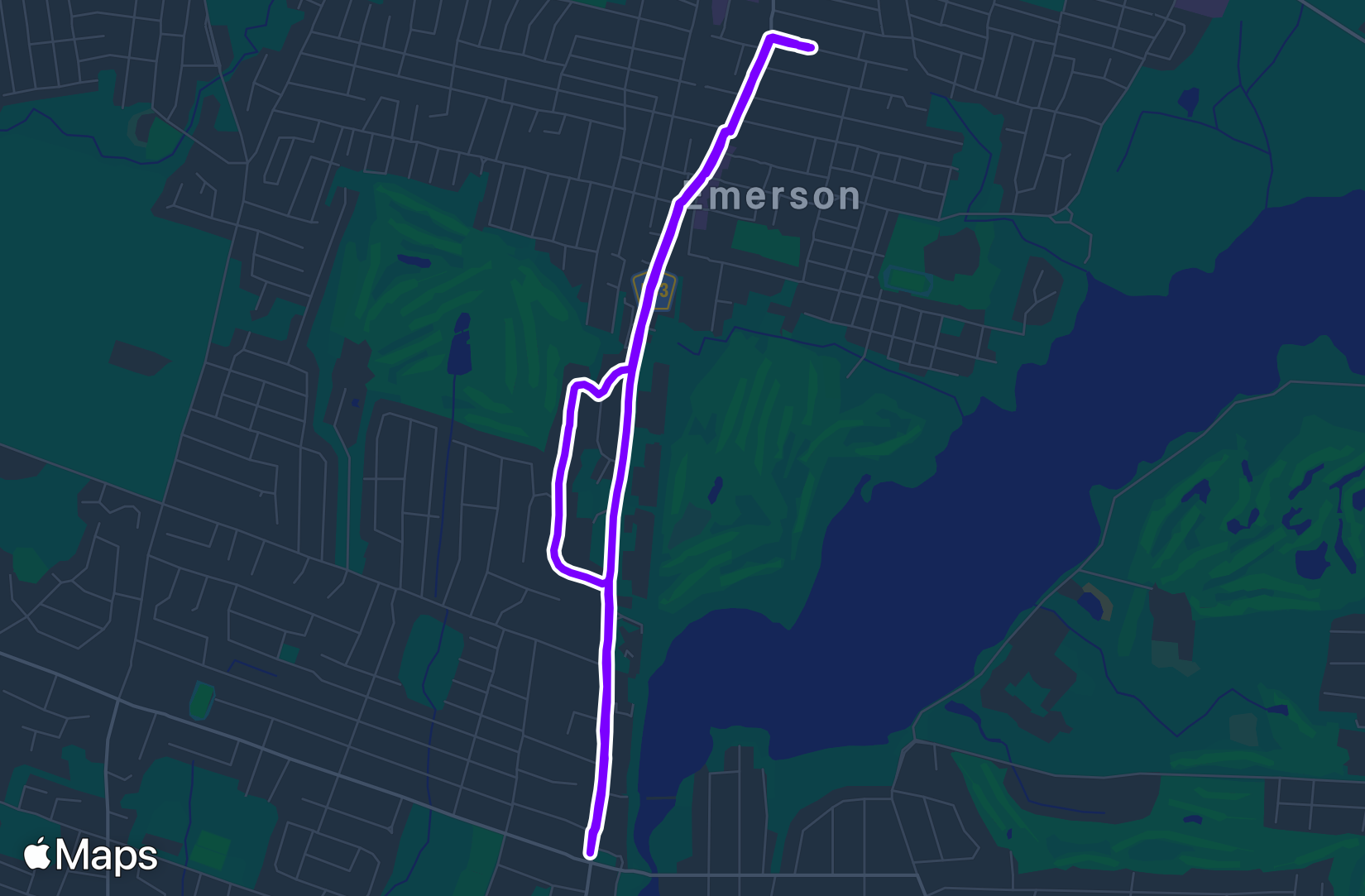 Run training