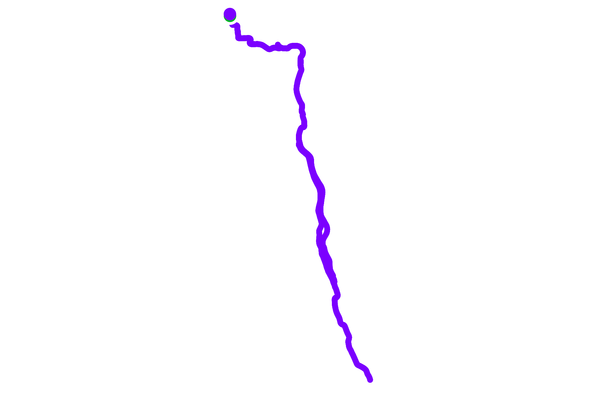 Run training