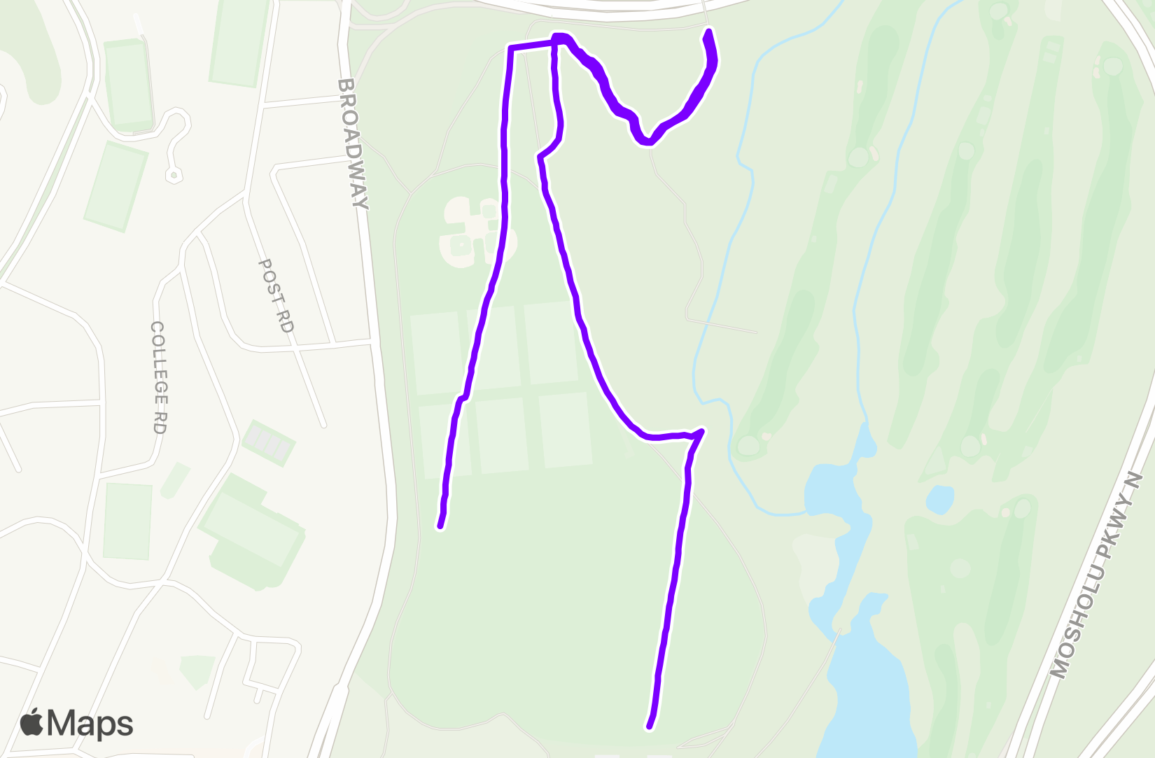 Run training