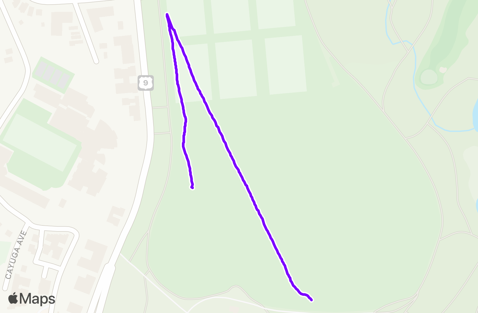 Run training