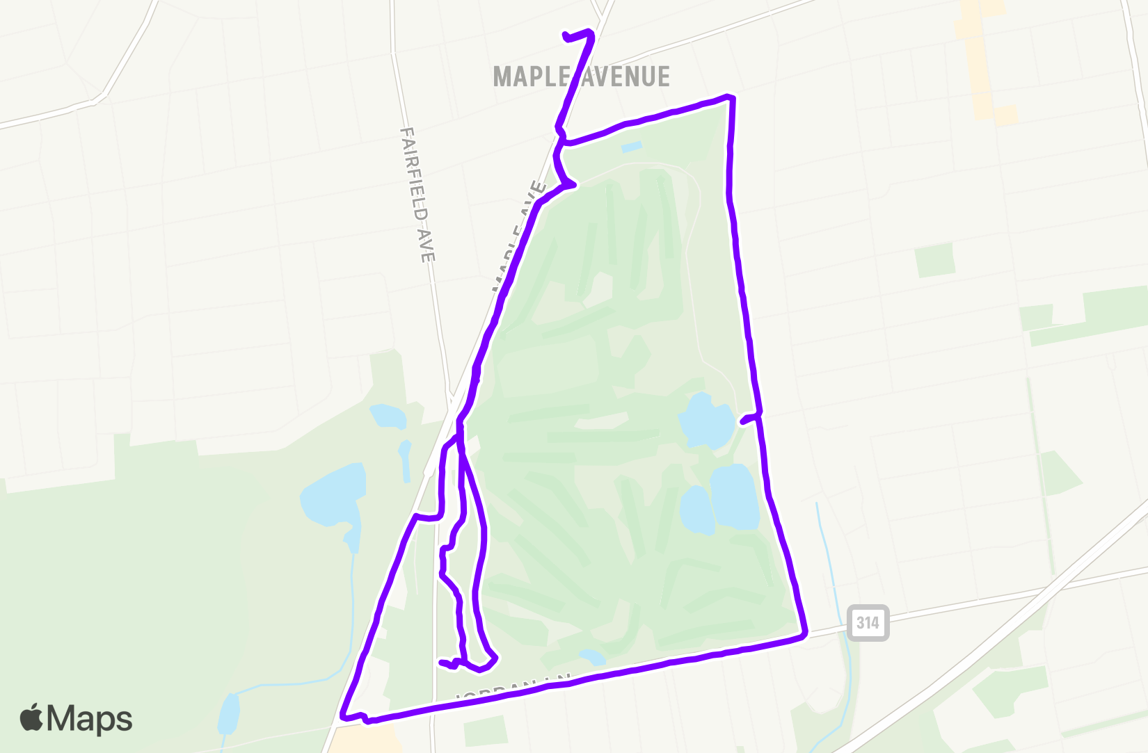 Run training