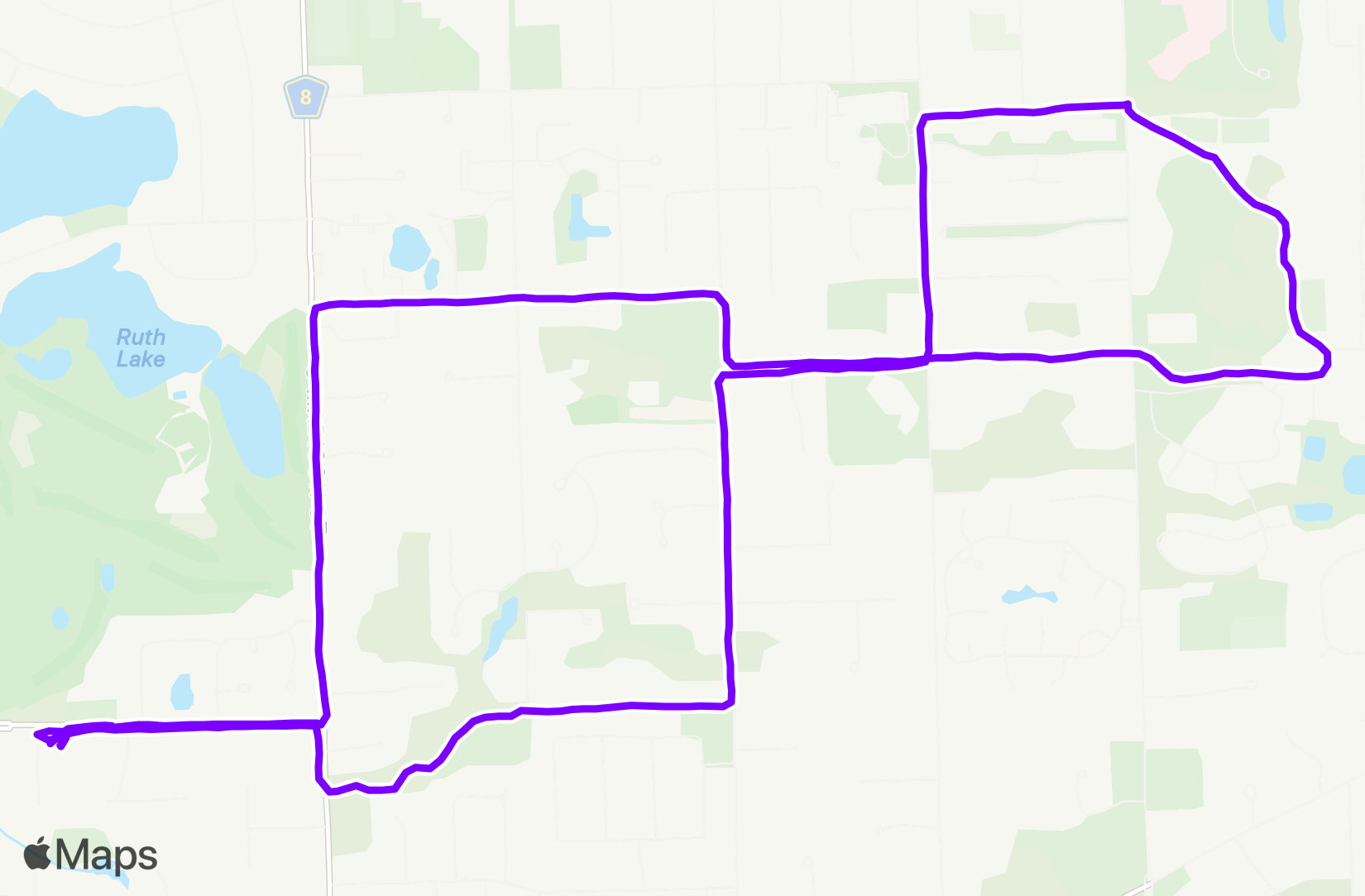 Run training