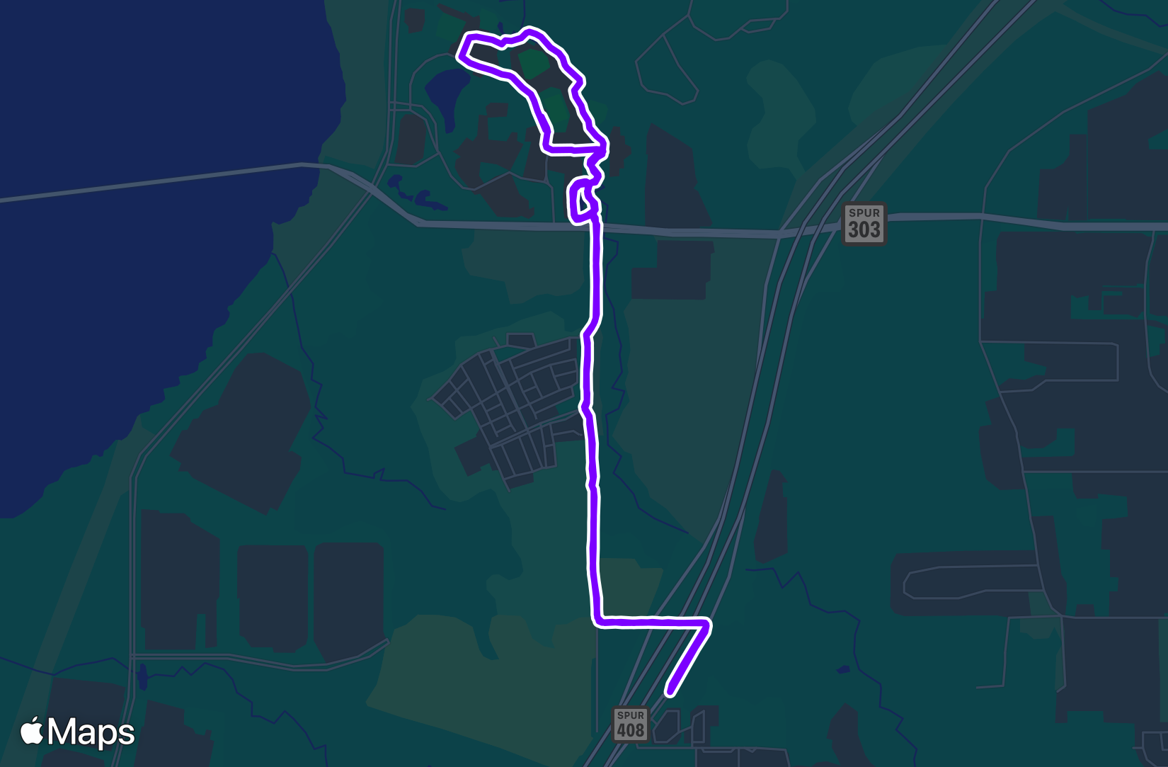 Run training