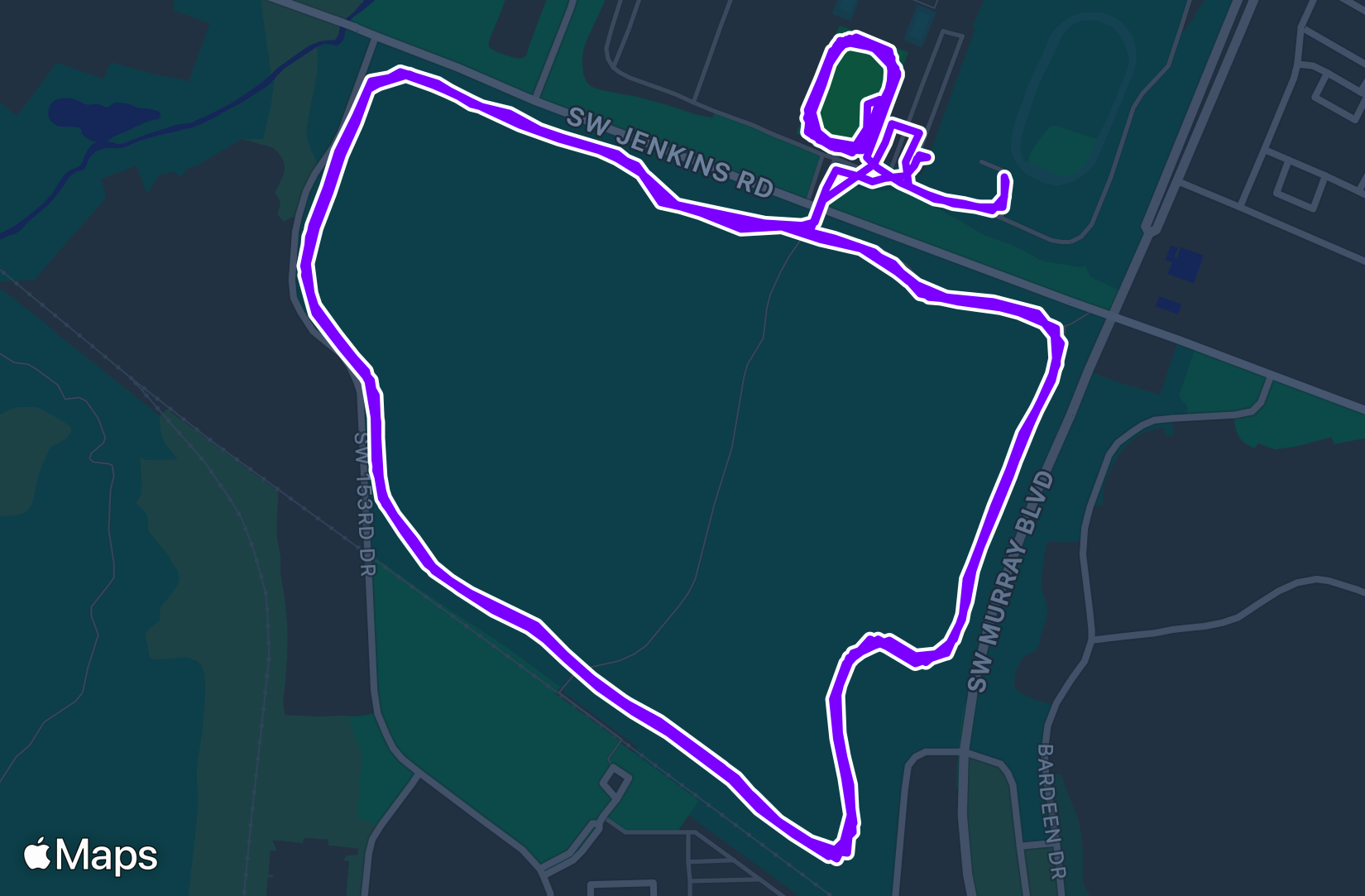 Run training