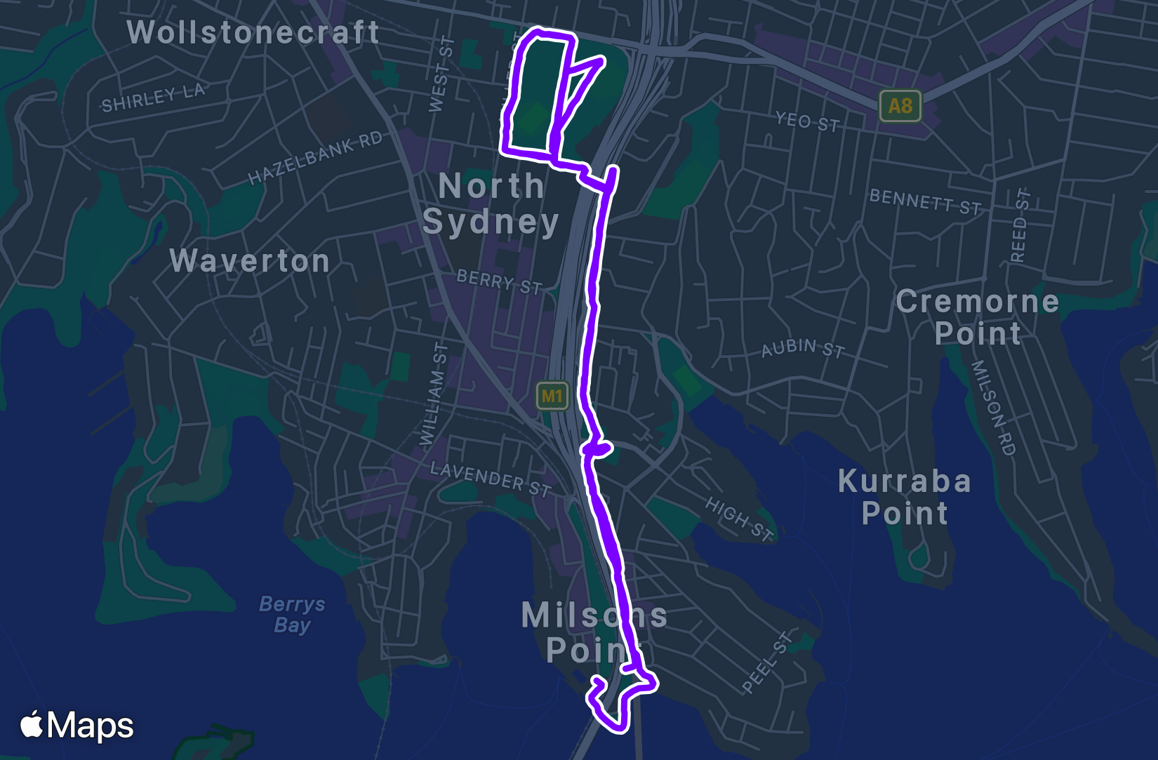 Run training
