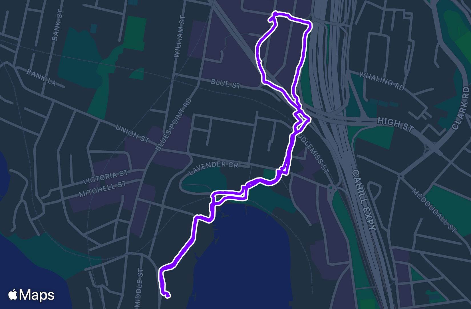Walk training