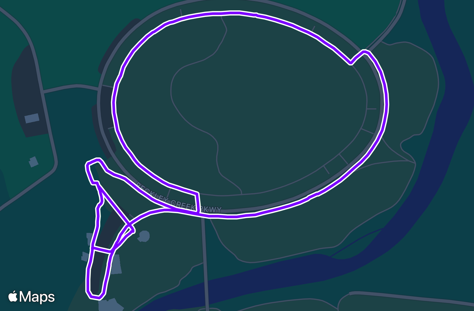 Run training