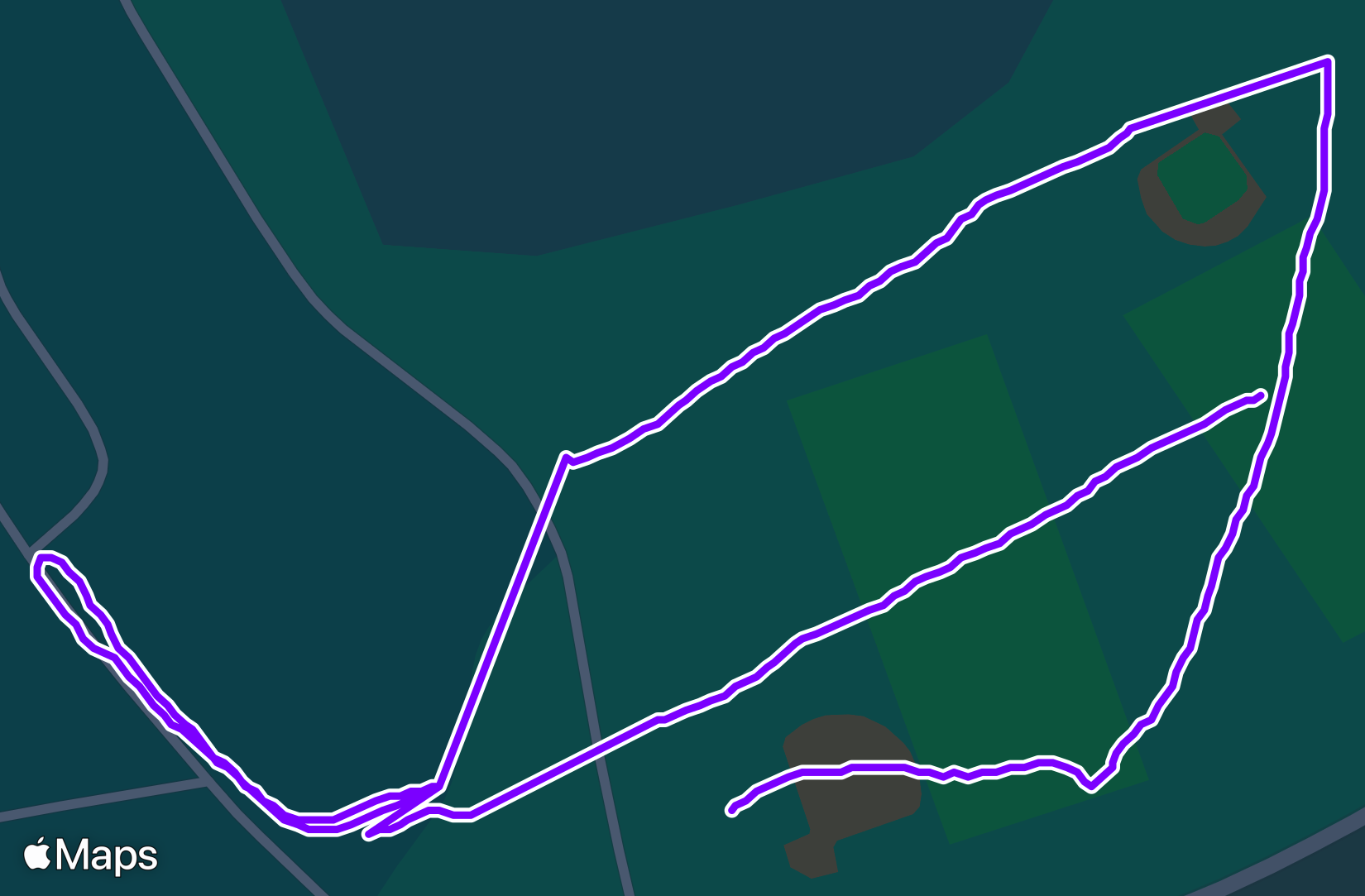 Run training