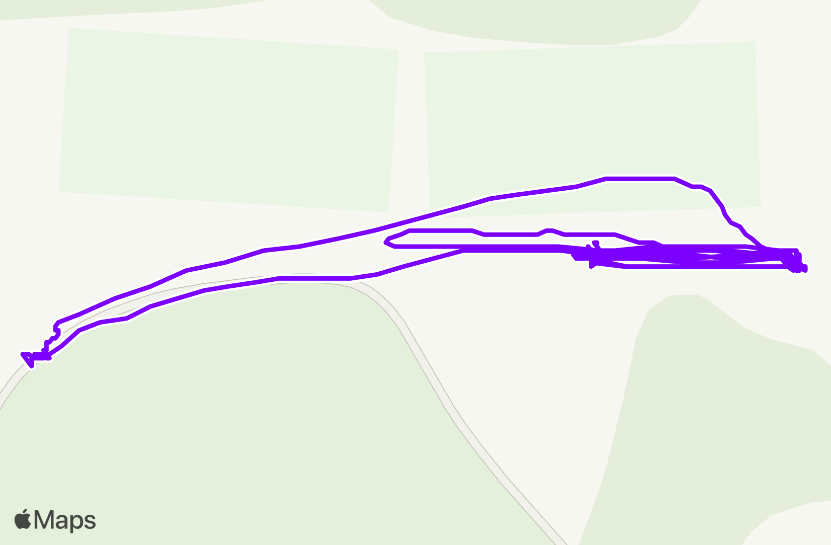 Run training