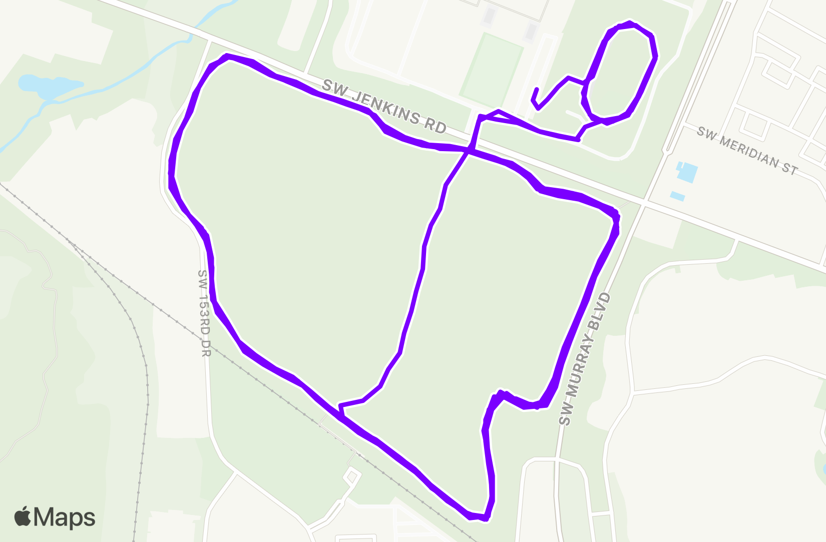 Run training