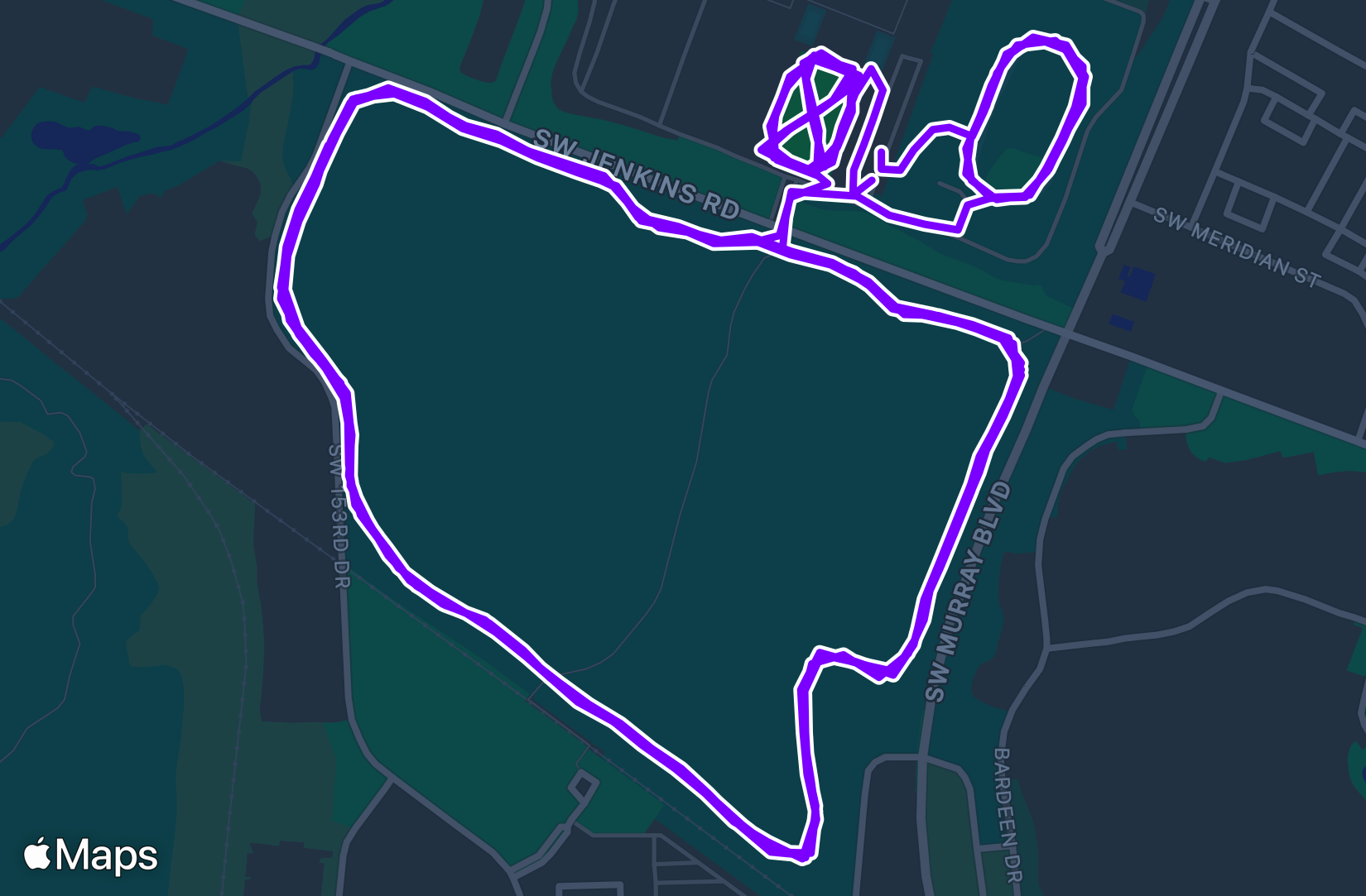 Run training
