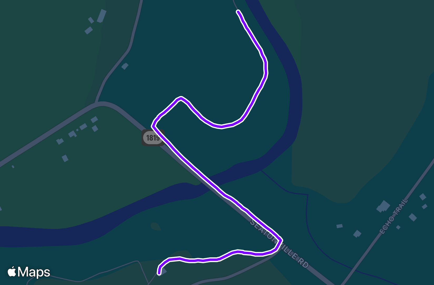 Walk training