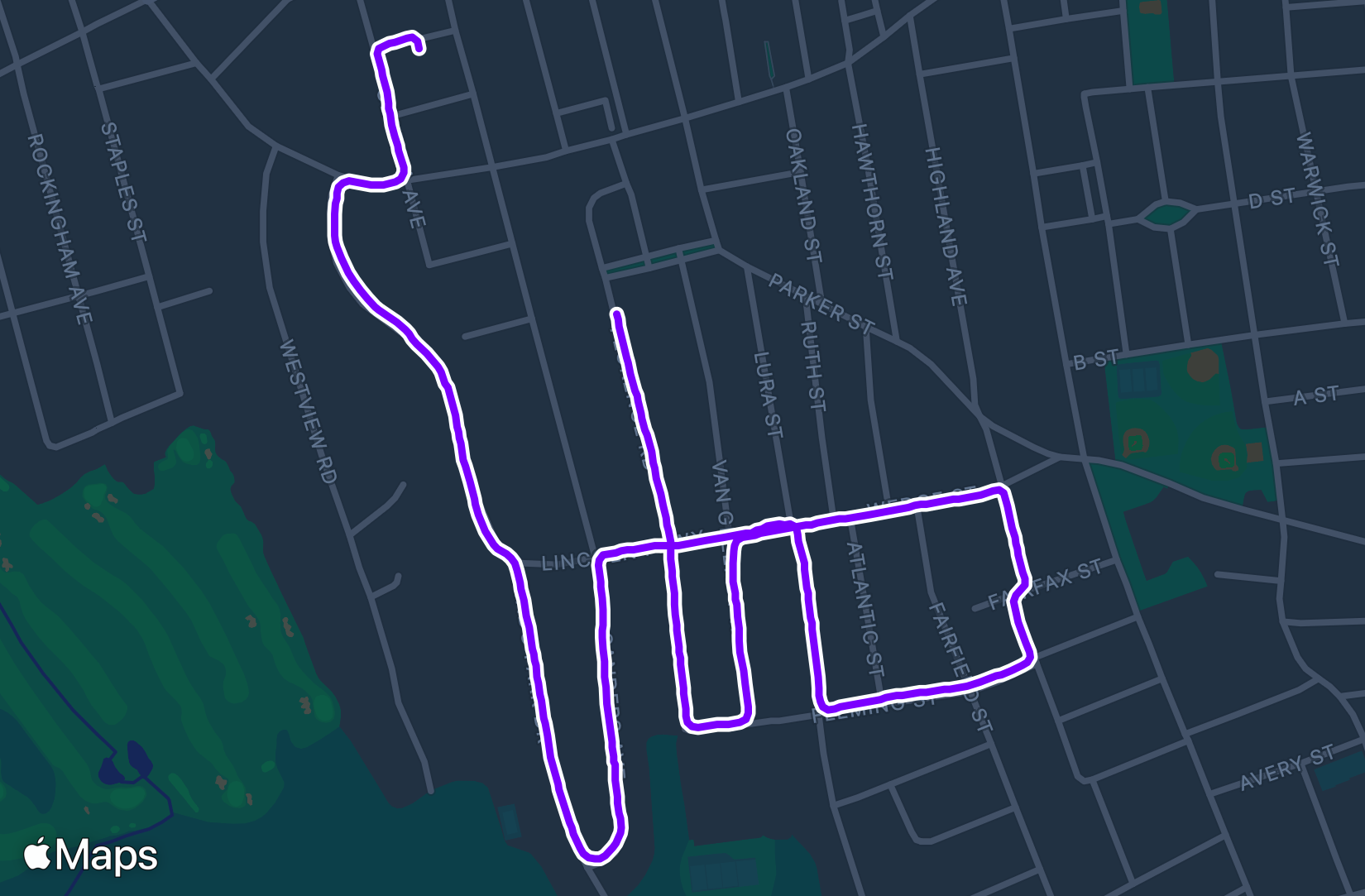 Run training