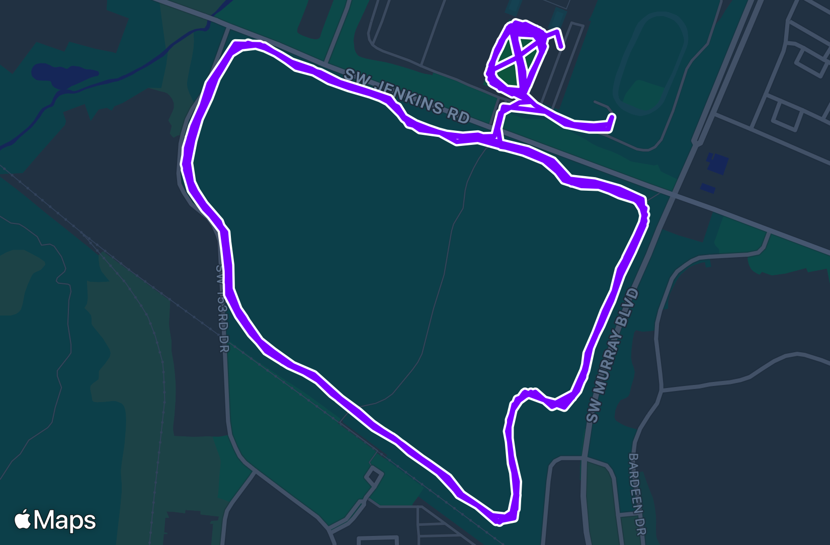 Run training